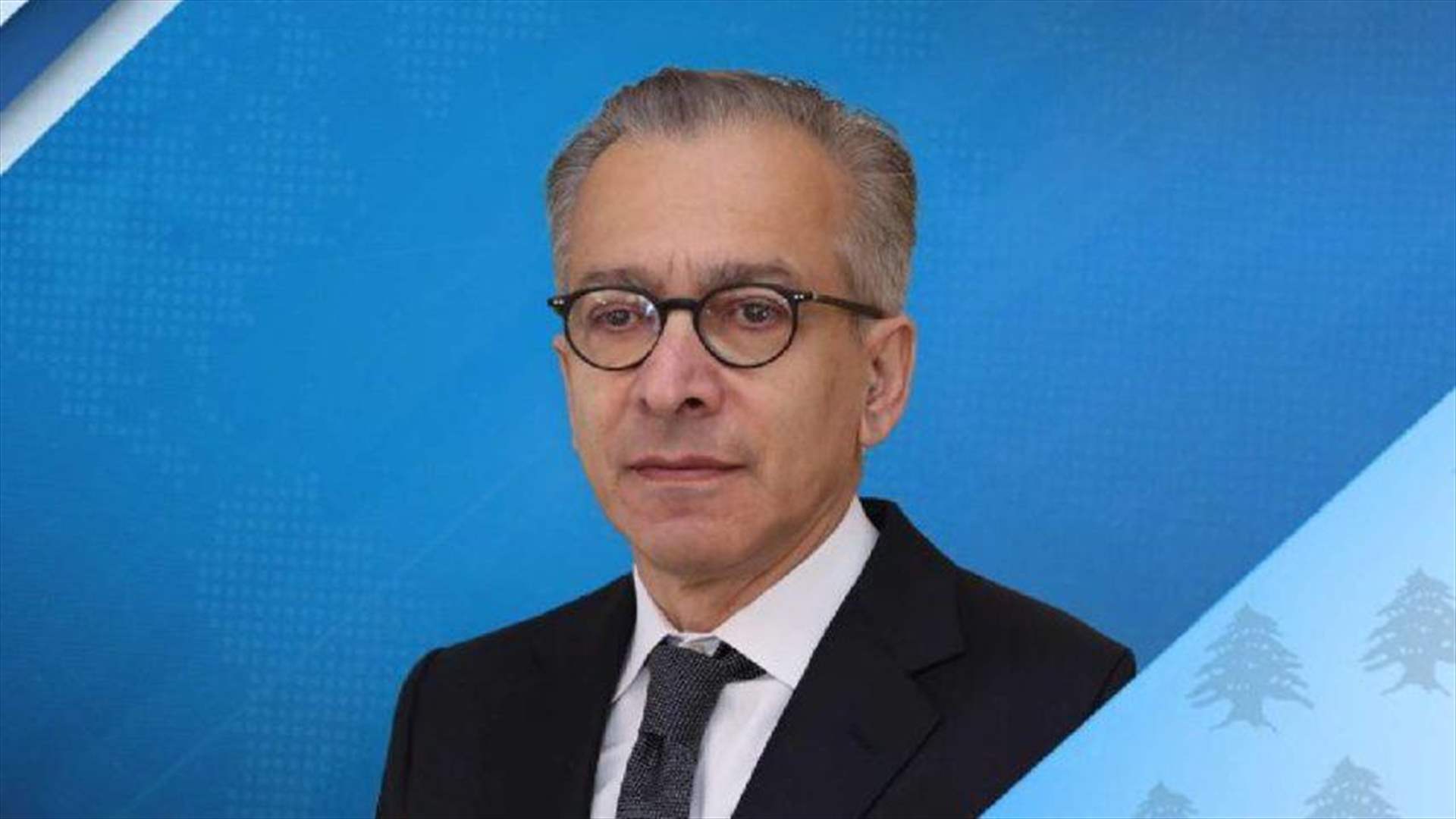 جهود وزارة الاقتصاد اللبنانية لضبط الأسواق وحماية المستهلك